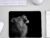Angry Lion Printed Black Color Anti Skid 3mm Mouse Pad