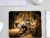 Cheetah Mousepad