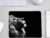 Lion Printed Black Color Anti Skid 3mm Mouse Pad